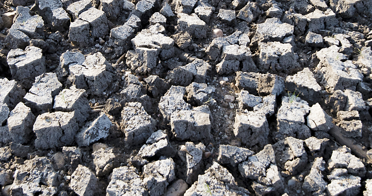 Drought soil /  / © André Künzelmann (UFZ)